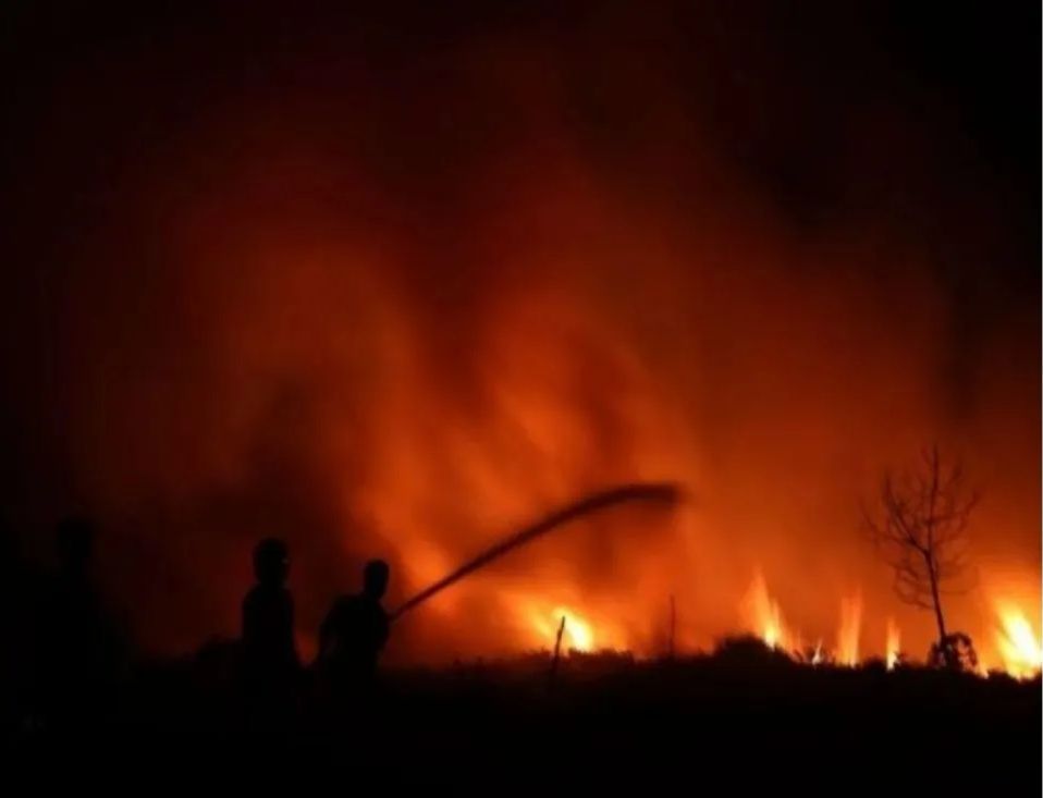 Polisi Usut 40 Kasus Karhutla di Kalsel